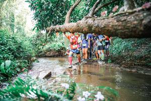 BIB: 
                            <button type="button" onclick="openModal(25514294)" class="btn btn-primary btn-sm float-right btn-popup" data-toggle="modal" data-target=".modal-high-quality">
                        <i class="fas fa-shopping-cart"></i> Add to Cart
                    </button>
                                            <button type="button" onclick="isThisMe(25514294, true)" class="btn btn-success btn-sm float-right btn-popup btn-isme hidden" data-toggle="tooltip" data-placement="bottom" title="นี่คือรูปของคุณใช่ไหม คลิกที่นี่เพื่อเอาเข้าอัลบั้ม">
                        <i class="fas fa-plus"></i> Add to album
                    </button>
                    <button type="button" onclick="isThisMe(25514294, false)" class="btn btn-warning btn-sm float-right btn-popup btn-isnotme hidden">
                        <i class="fas fa-ban"></i> Remove from album
                    </button>